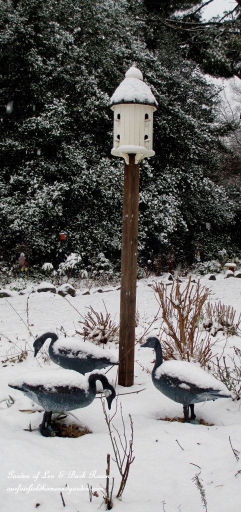Post Birdhouse & Dad's goose decoys https://ourfairfieldhomeandgarden.com/winter-wonderland-it-finally-snowed/