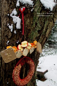 Rake Bird Buffet https://ourfairfieldhomeandgarden.com/diy-project-turn-a-rake-head-into-a-bird-buffet/
