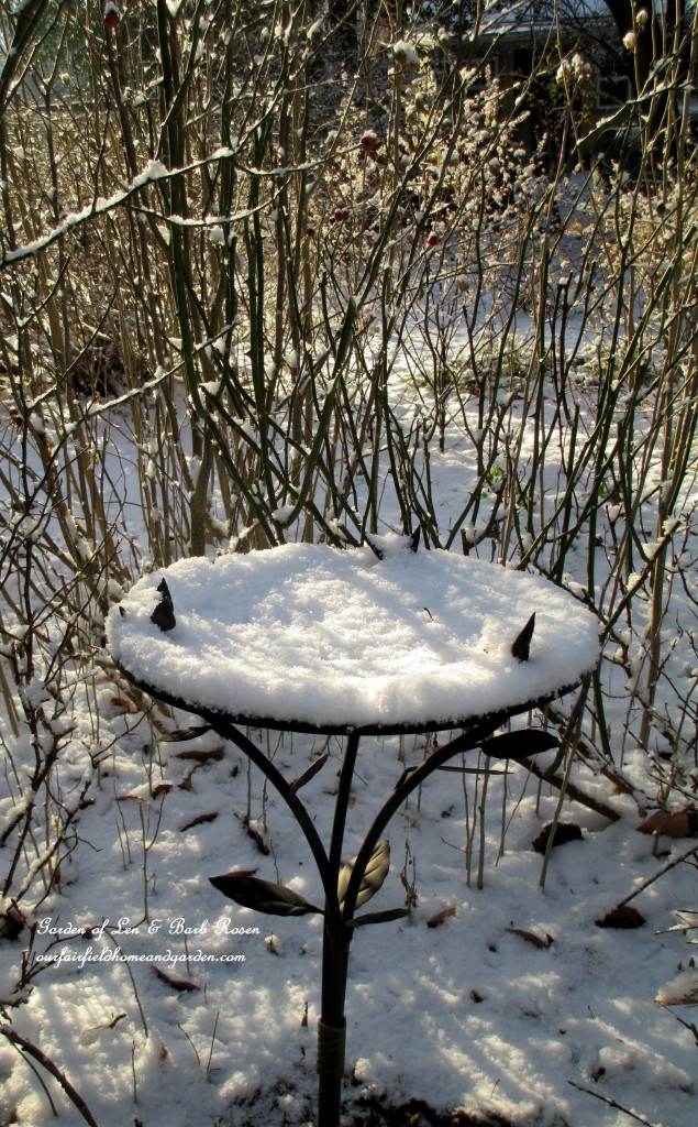 frozen bird bath https://ourfairfieldhomeandgarden.com/january-winter-garden/