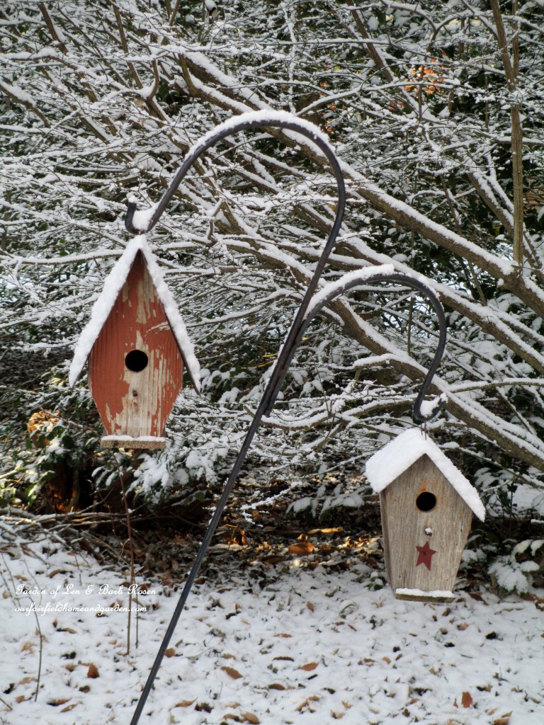 birdhouses in the snow https://ourfairfieldhomeandgarden.com/january-winter-garden/