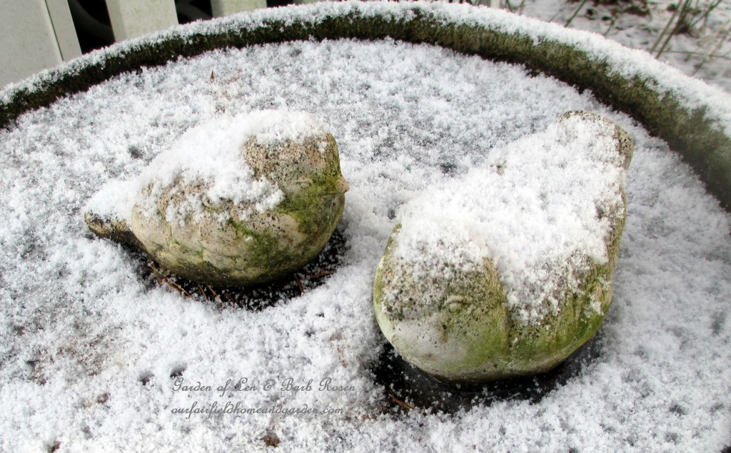snowy bird bath https://ourfairfieldhomeandgarden.com/january-winter-garden/