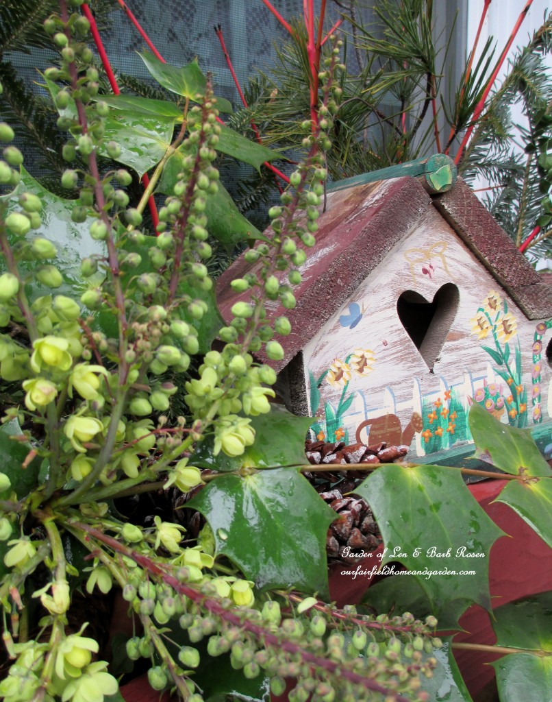 Mahonia provides the bloom in the window box https://ourfairfieldhomeandgarden.com/heart-home-valentines-day-is-coming/