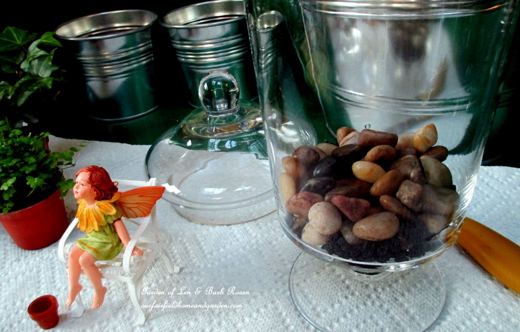 https://ourfairfieldhomeandgarden.com/diy-project-summer-enchantment-in-a-jar/ Assemble your materials : pebbles, activated charcoal, potting soil, tiny ivy & fern plants, dried or live moss, a glass container and accents.