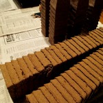 Peat pots, plant trays, potting mix and seeds are all you need! https://ourfairfieldhomeandgarden.com/dch-workshop-pushing-spring-early-planting-for-the-impatient-gardener-with-alice-george-davis/