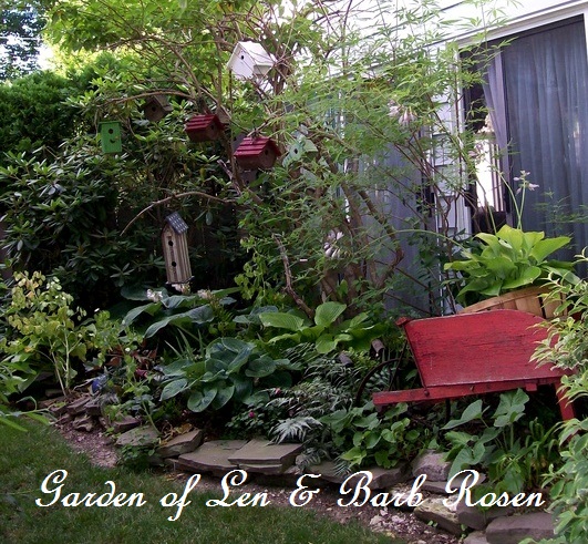 tiny side yard garden https://ourfairfieldhomeandgarden.com/a-trip-down-memory-lane-my-former-garden/