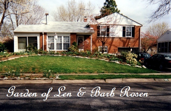 Before https://ourfairfieldhomeandgarden.com/a-trip-down-memory-lane-my-former-garden/