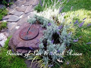 https://ourfairfieldhomeandgarden.com/a-trip-down-memory-lane-my-former-garden/