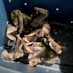 crumple up sheets of newspaper , dip them into water to wet them, wring out and fill the bottom of the tub