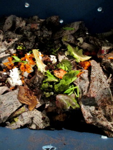composting with worms in a tub ~ vermicomposting https://ourfairfieldhomeandgarden.com/diy-project-vermicomposting-in-a-tub-in-a-few-easy-steps/