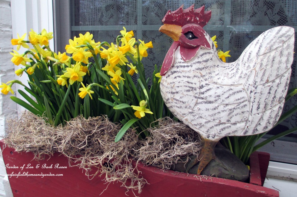 springwindowbox https://ourfairfieldhomeandgarden.com/spring-is-busting-out-all-over/