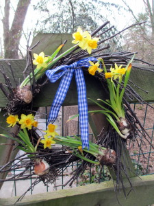 Tete a Tete Wreath https://ourfairfieldhomeandgarden.com/spring-is-busting-out-all-over/