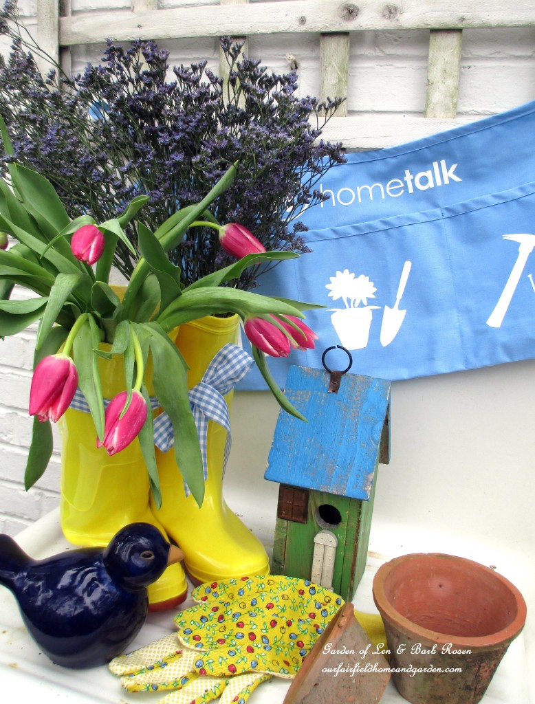 Hometalk https://ourfairfieldhomeandgarden.com/spring-is-busting-out-all-over/