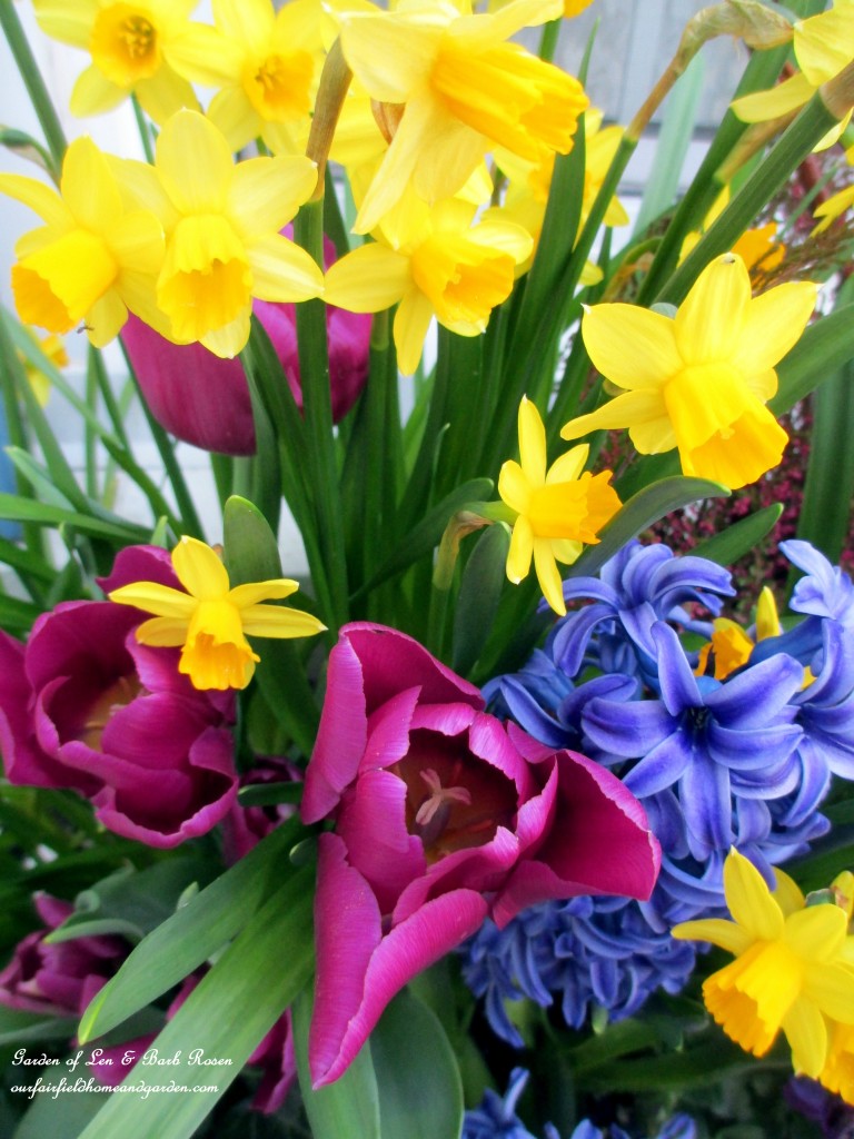 mixed blooms in the window box https://ourfairfieldhomeandgarden.com/spring-is-here-early-spring-blossoms/