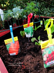 Make raised planting beds for free! https://ourfairfieldhomeandgarden.com/diy-project-raised-beds-for-free/