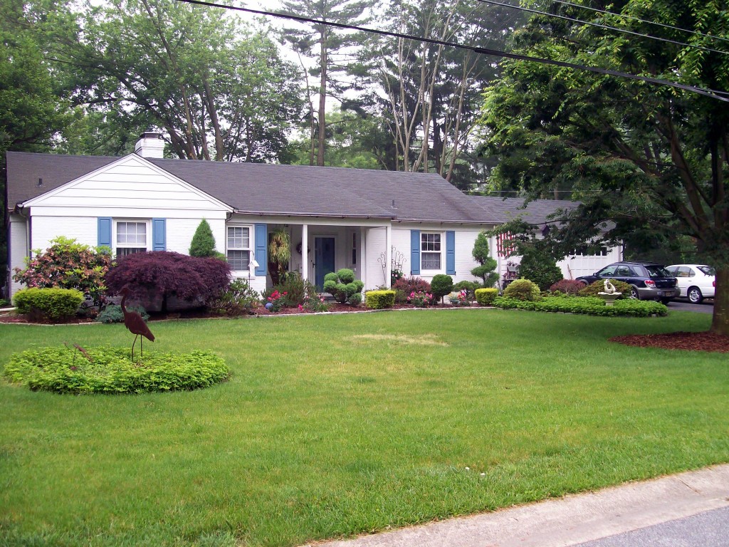 "Before" lots of grass, a few shrubs and the rest of the yard was ivy and pachysandra.