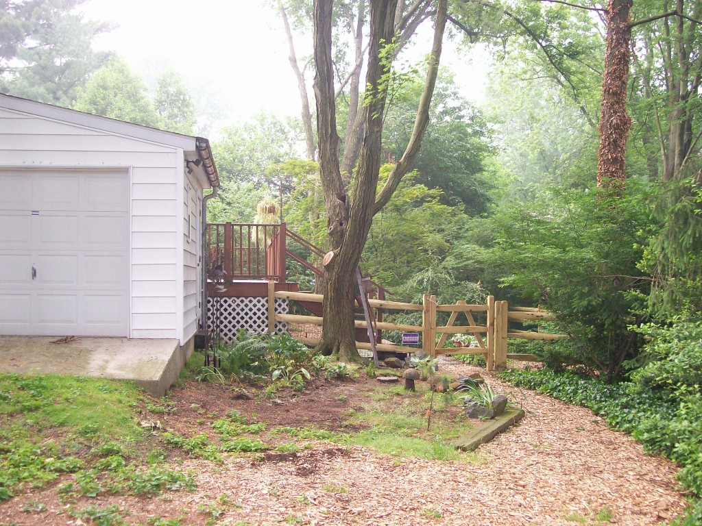 Ivy had been cleared, a mulch path made and a fence put in for the dogs already before I took this "Before" shot.