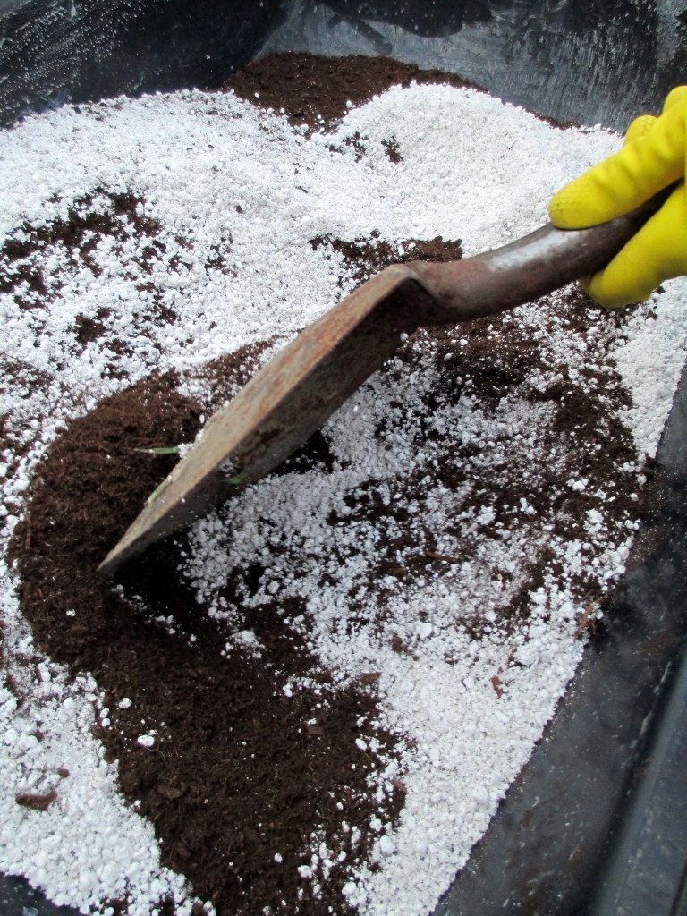 Step # ~ Add perlite or coarse sand