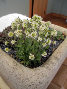 smooth, artisan-made hypertufa garden example