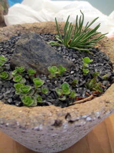Hypertufa tough garden