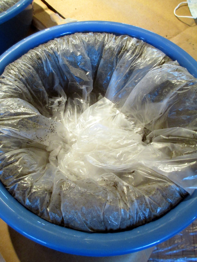 Step # ~ Now cover your pot by folding in the excess plastic bag.