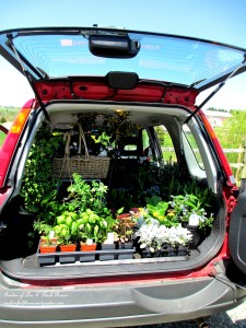 We used Renee's "Red Car" because it holds more! https://ourfairfieldhomeandgarden.com/the-merry-merry-month-of-may/