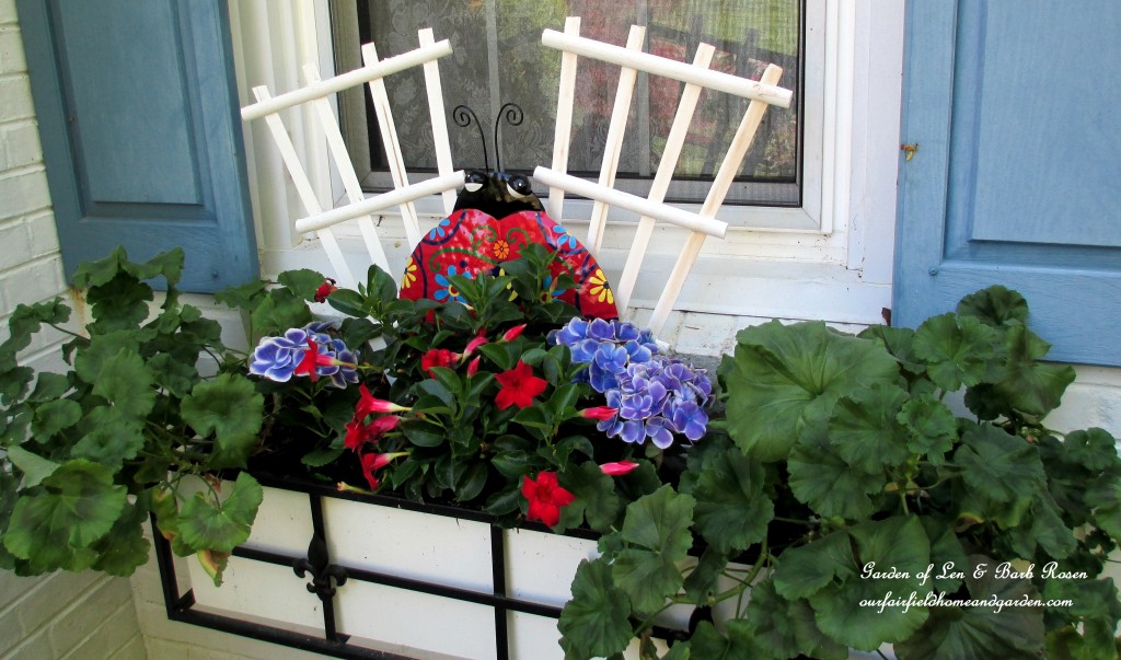 window box with geraniums, hydrangea and mandevilla https://ourfairfieldhomeandgarden.com/the-merry-merry-month-of-may/