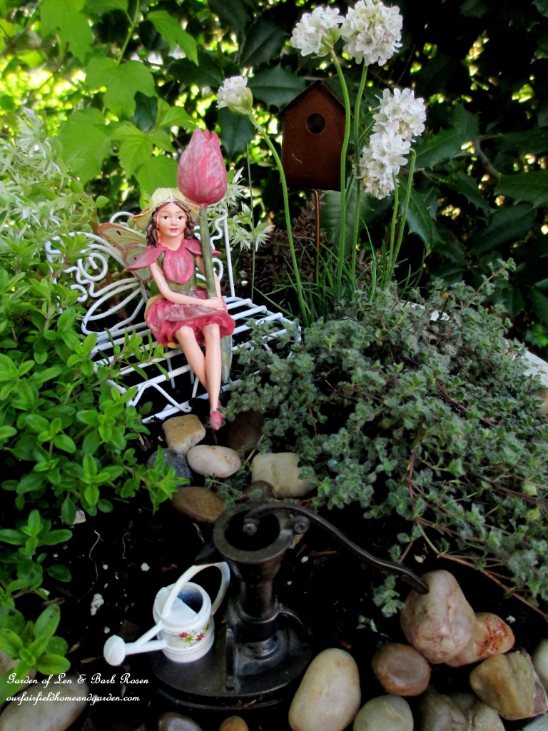 Fairy Garden Tulip Fairy sitting amidst the wooly thyme, lemon thyme, Armeria "Morning White Star", stonecrop sedum "Larienem Park" and "Coral Carpet". https://ourfairfieldhomeandgarden.com/diy-project-mothers-day-fairy-garden/