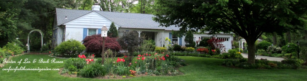Our early May Garden