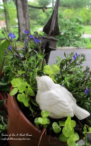 Tipsy Pot bird