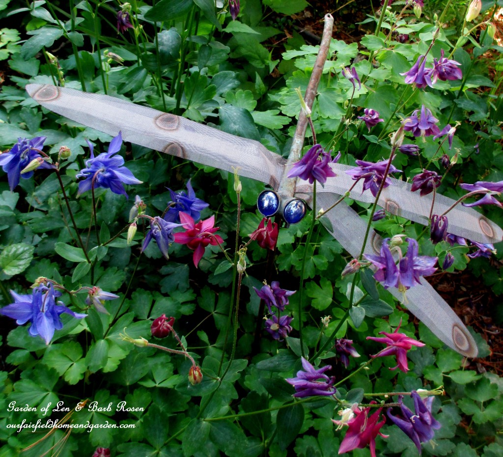 Dragonfly in the Columbine https://ourfairfieldhomeandgarden.com/may-garden-birdhouses-flowers/