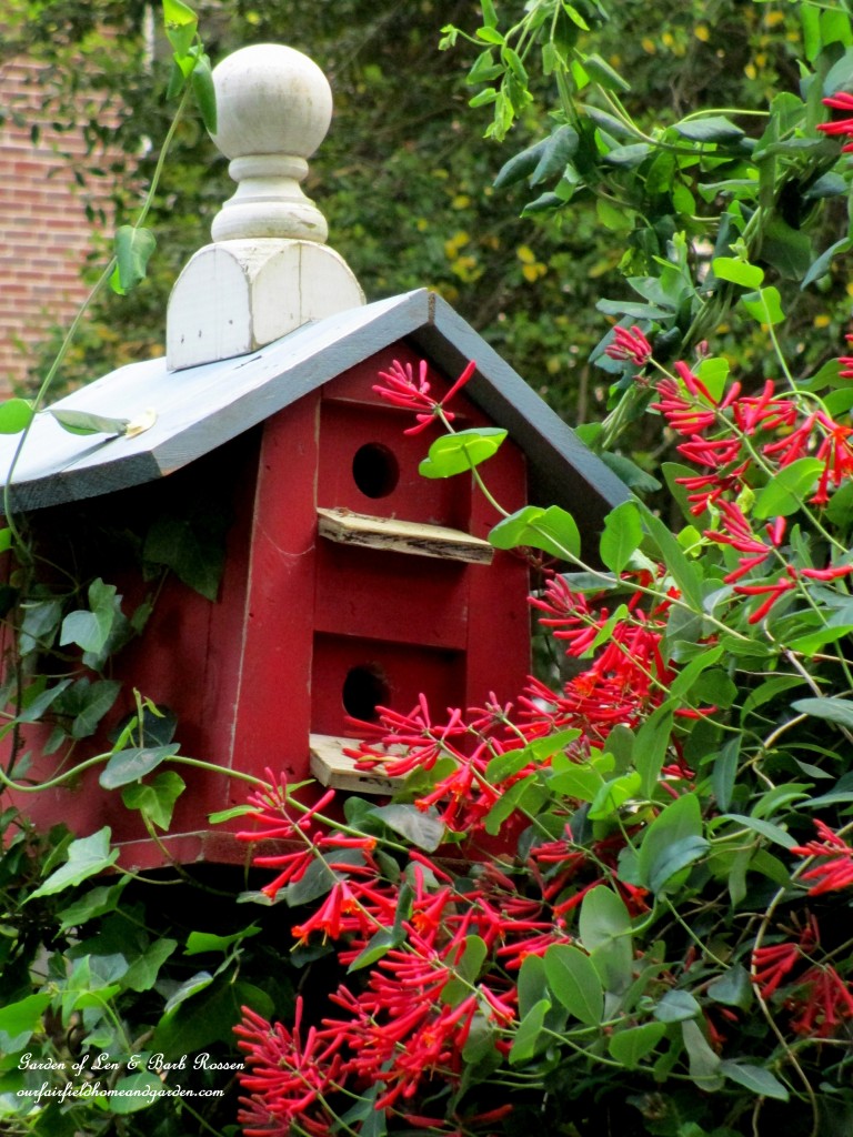 Birdhouse & Lonicera https://ourfairfieldhomeandgarden.com/may-garden-birdhouses-flowers/