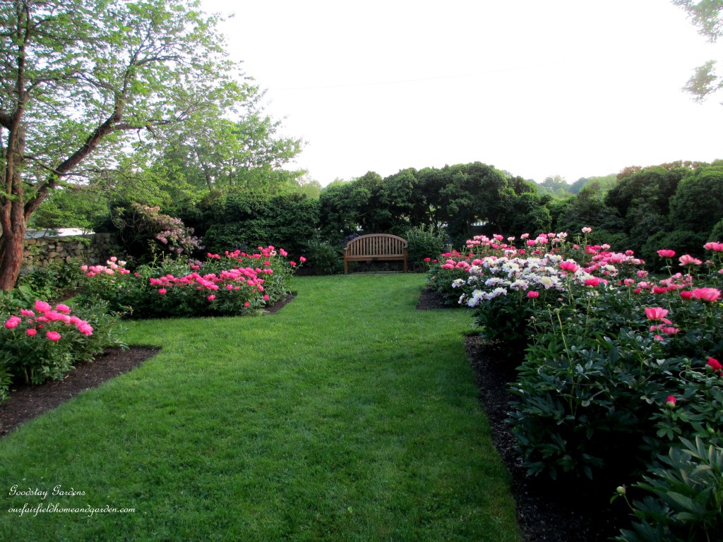 https://ourfairfieldhomeandgarden.com/springtime-in-goodstay-gardens/