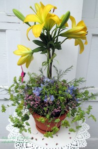 Blooming Topiary https://ourfairfieldhomeandgarden.com/diy-project-blooming-topiary/