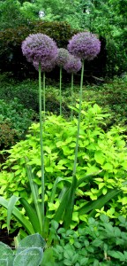 https://ourfairfieldhomeandgarden.com/newark-garden-tour-2013/