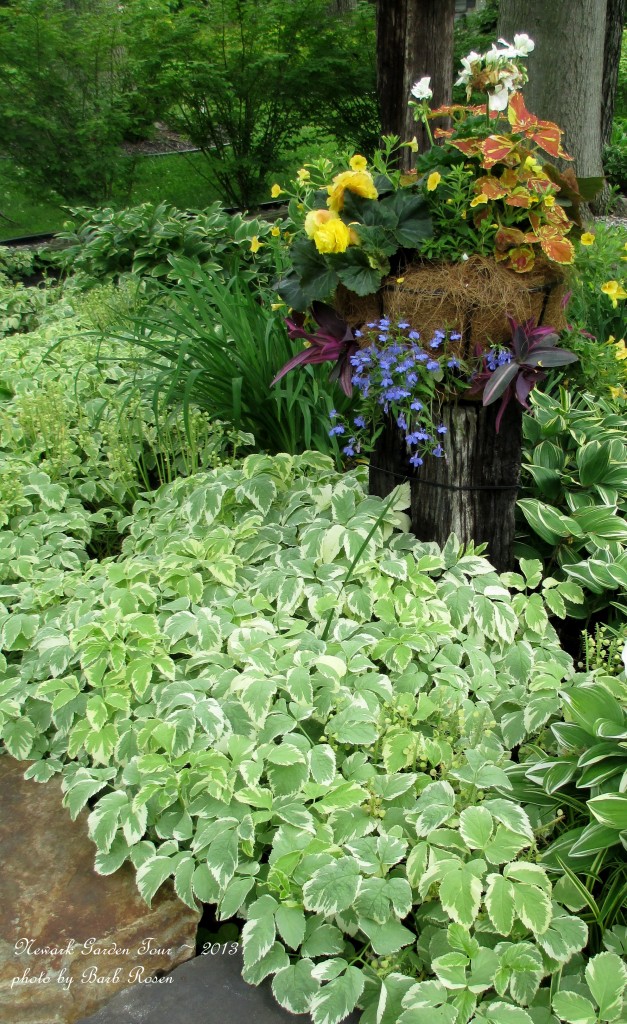 https://ourfairfieldhomeandgarden.com/newark-garden-tour-2013/