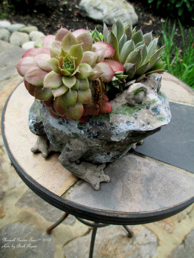 https://ourfairfieldhomeandgarden.com/newark-garden-tour-2013/