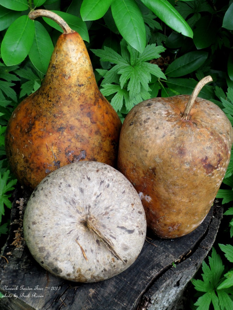 Dried Gourd Accents https://ourfairfieldhomeandgarden.com/newark-garden-tour-2013/
