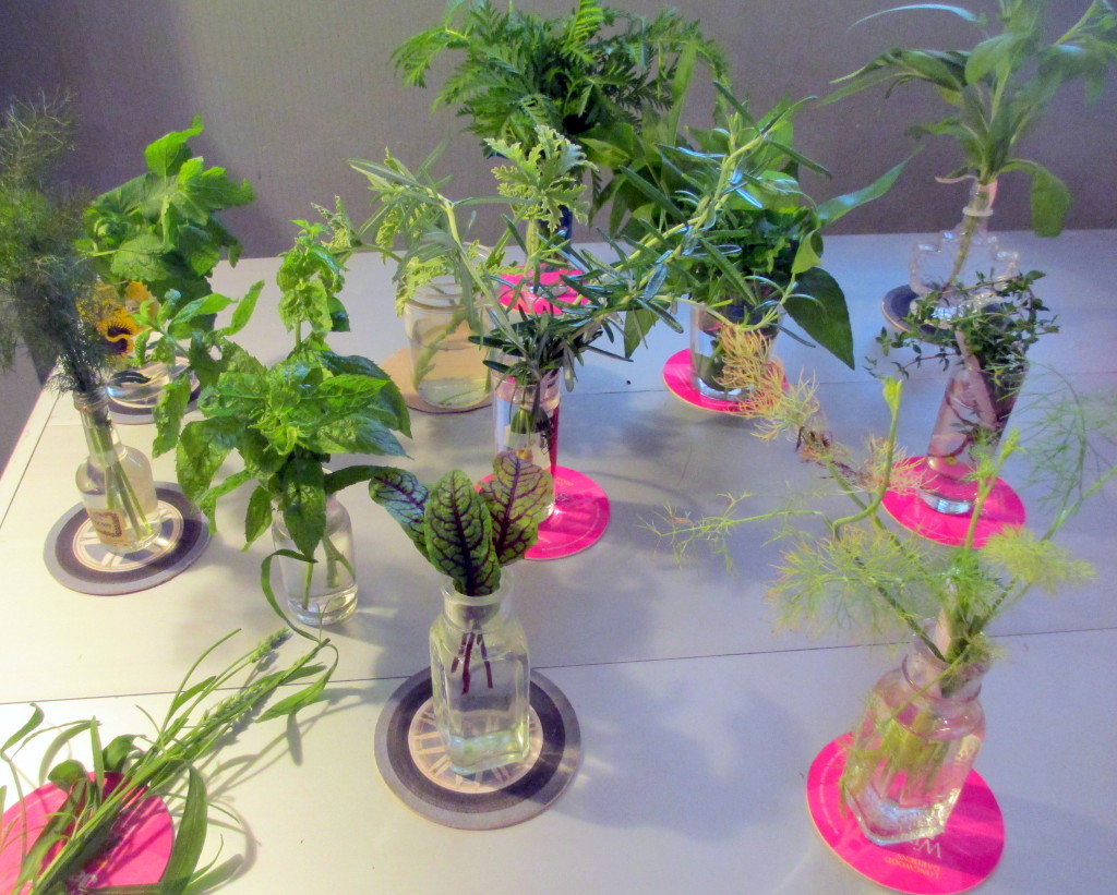 samples of fragrant plants from the garden https://ourfairfieldhomeandgarden.com/diy-project-country-flower-basket/