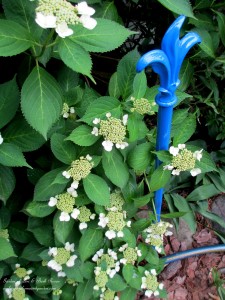 Hose Guards https://ourfairfieldhomeandgarden.com/diy-project-hose-guides-from-curtain-rods/