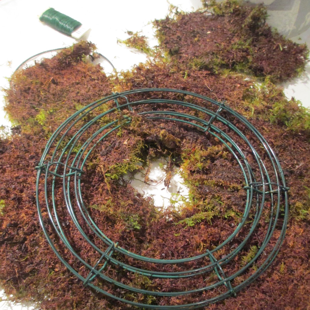 Step 1 ~ place your wreath frame on dampened sheet moss, leaving a hole in the middle and 2 or 3 inches on all sides.
