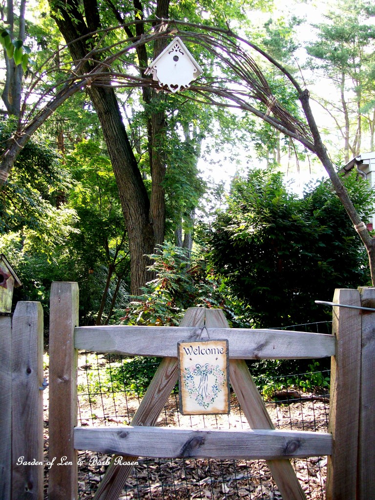 Branch Arbor made last summer at the back gate