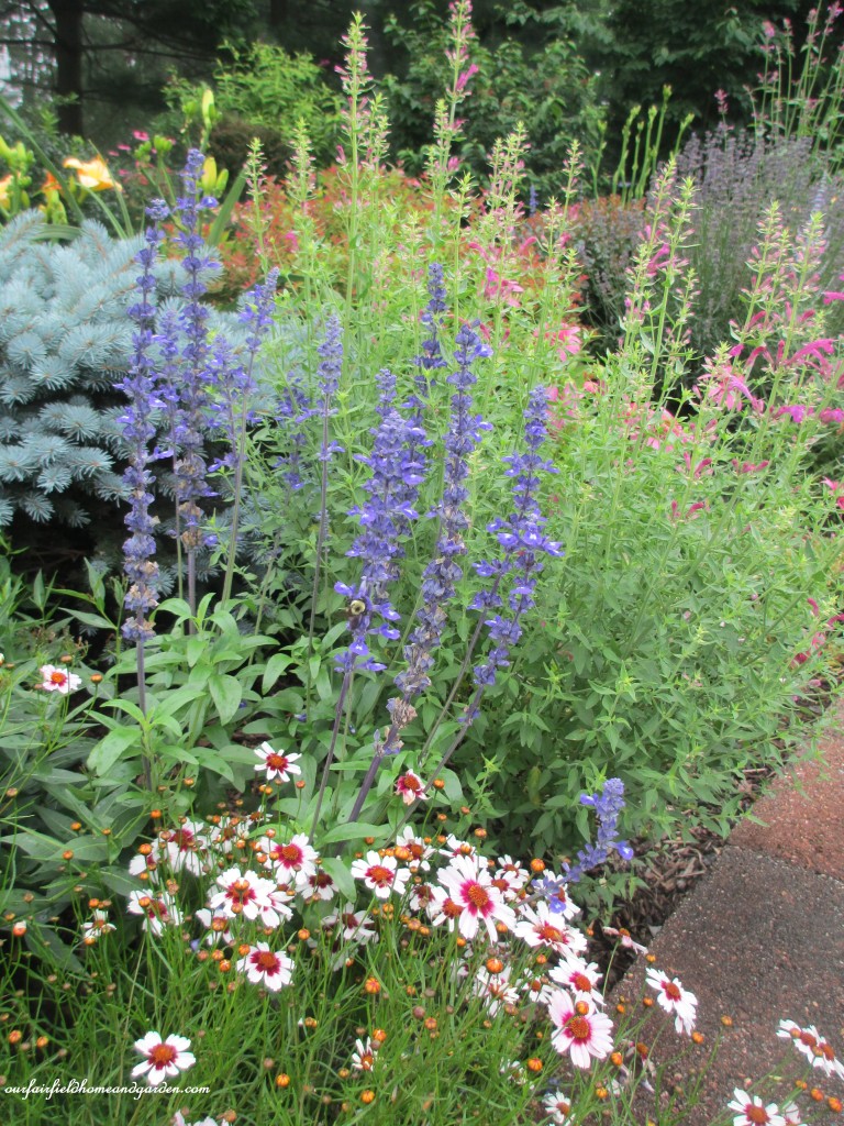 colorful flower beds line Karin's driveway