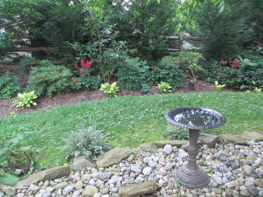 part of the dry stream bed in Karin's backyard