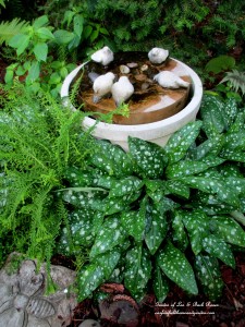 ferns & pulmonaria around a water feature https://ourfairfieldhomeandgarden.com/garden-walk-july-1st/