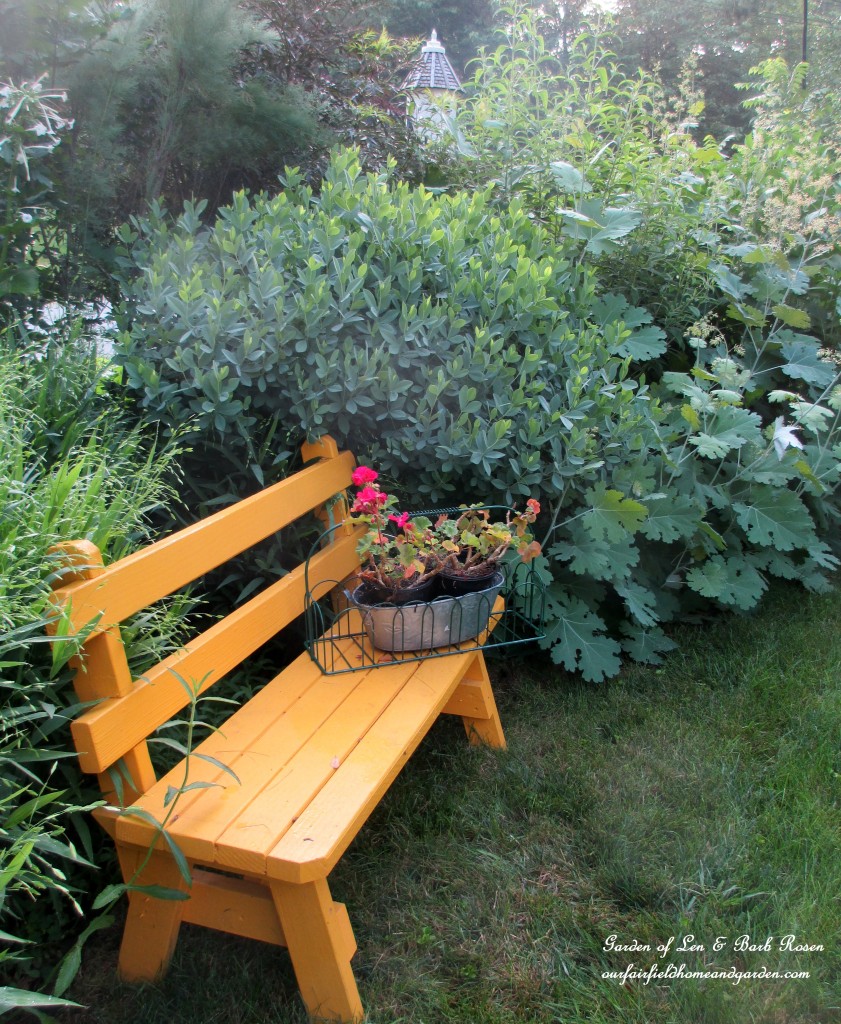 yellow bench in the front garden https://ourfairfieldhomeandgarden.com/garden-walk-july-1st/