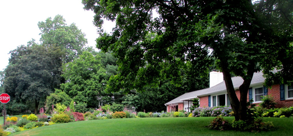 Karin's lovely yard