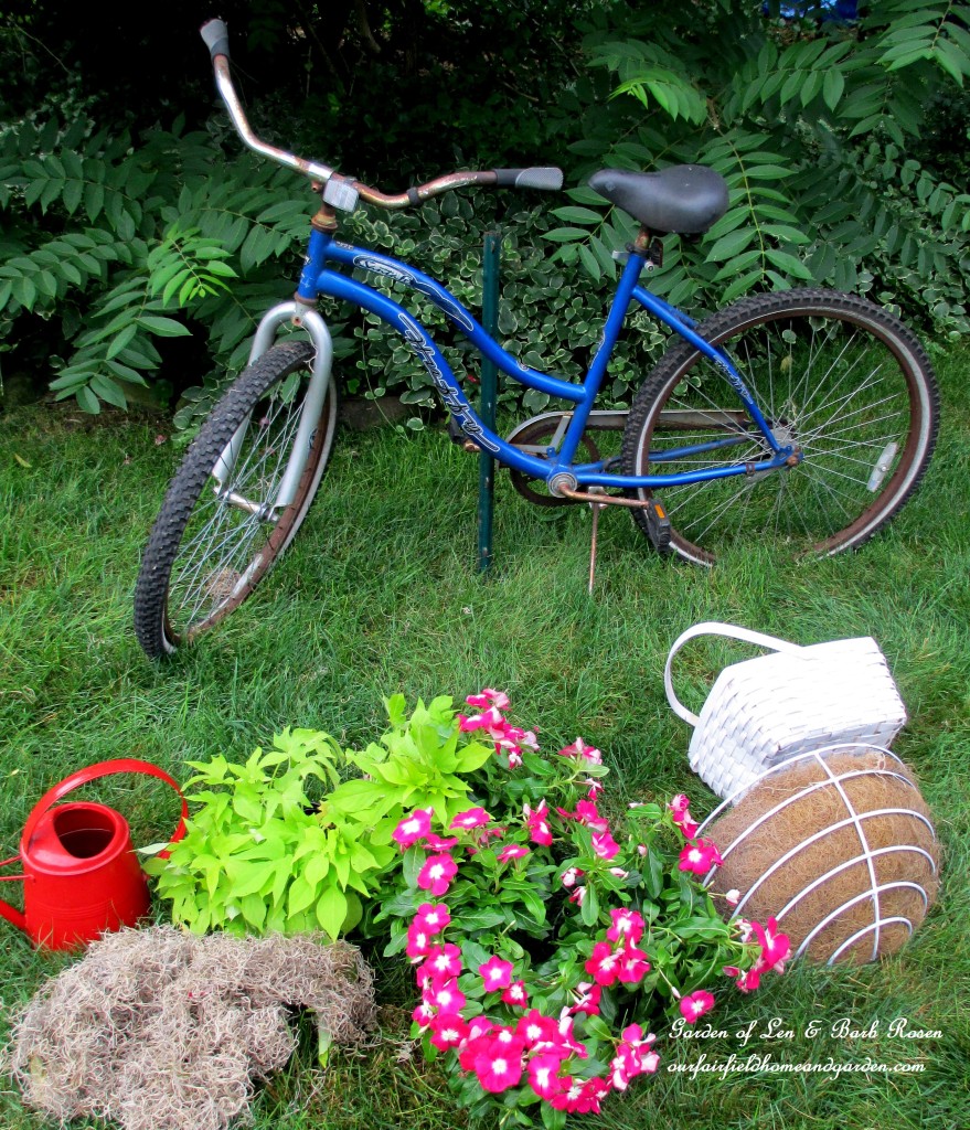 Assemble the materials ~ two baskets, plants, sphagnum moss and an old bike. https://ourfairfieldhomeandgarden.com/diy-project-my-bicycle-planter/