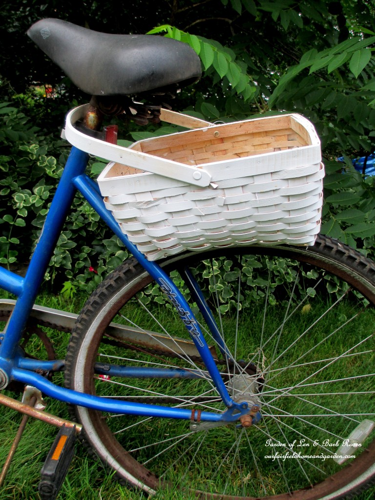 You can put the basket handle over the seat and let it rest on the wheel. https://ourfairfieldhomeandgarden.com/diy-project-my-bicycle-planter/
