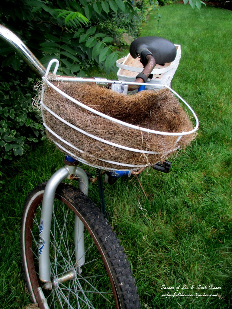 Attach the front basket to the handle bars. https://ourfairfieldhomeandgarden.com/diy-project-my-bicycle-planter/