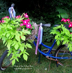 Make a bike planter! https://ourfairfieldhomeandgarden.com/diy-project-my-bicycle-planter/